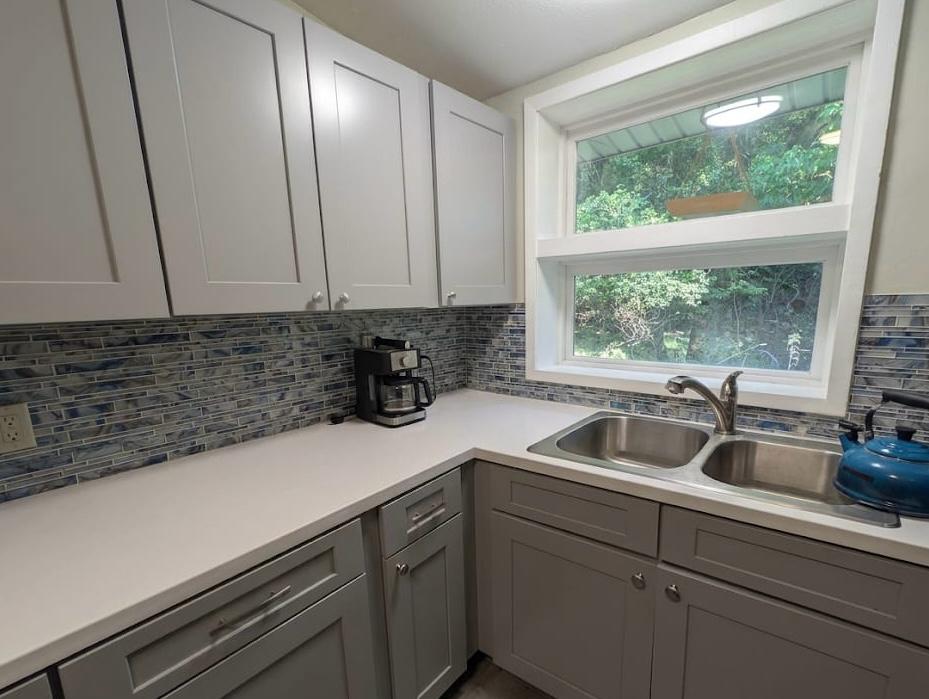 Kitchen Sink & Finishes